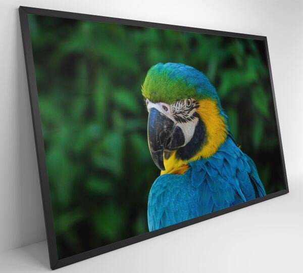 QUADRO ARARA - 120x80 - Tecido Canvas - 5