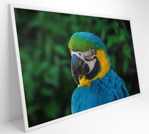 QUADRO ARARA - 120x80 - Tecido Canvas - 2