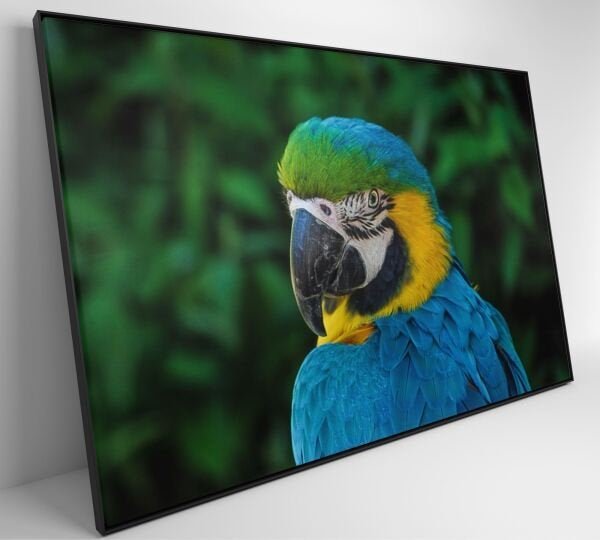 QUADRO ARARA - 120x80 - Tecido Canvas - 6