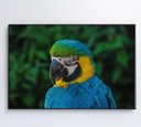 Ver mais imagens de Quadro Arara - 120x80 - Tecido Canvas