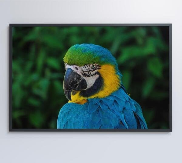 QUADRO ARARA - 120x80 - Tecido Canvas - 7