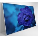 Ver imagem 3 de Quadro Rosa Lilas - 60x40 - Adesivo Fotográfico