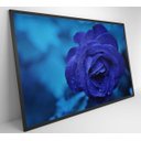Ver imagem 5 de Quadro Rosa Lilas - 60x40 - Adesivo Fotográfico