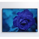 Ver mais imagens de Quadro Rosa Lilas - 60x40 - Adesivo Fotográfico