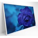 Ver imagem 2 de Quadro Rosa Lilas - 60x40 - Adesivo Fotográfico