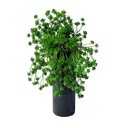 Ver imagem 6 de Kit com 7 Suculentas Sedum Artificiais Realistas para Decorar Qualquer Espaço