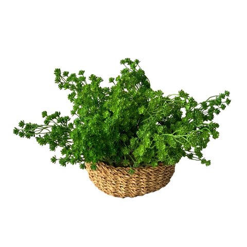 Kit com 7 Suculentas Sedum Artificiais Realistas para Decorar Qualquer Espaço
