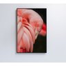 QUADRO FLAMINGO - 40x60 - Adesivo fotográfico - 1