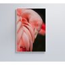 QUADRO FLAMINGO - 40x60 - Adesivo fotográfico - 7