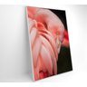 QUADRO FLAMINGO - 40x60 - Adesivo fotográfico - 8