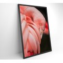 Ver imagem 6 de Quadro Flamingo - 40x60 - Adesivo Fotográfico
