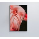 Ver imagem 7 de Quadro Flamingo - 40x60 - Adesivo Fotográfico