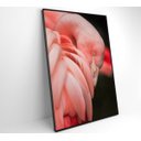 Ver imagem 2 de Quadro Flamingo - 40x60 - Adesivo Fotográfico