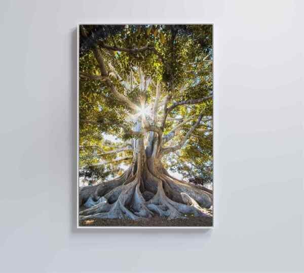Artimagen – Adesivo A Forma Di Scudo Con Stemma Ciotola, 40x60 Mm, Vinile Resistente