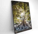 Ver mais imagens de Quadro Árvore - 60x90 - Vidro Impresso