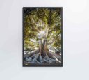 Ver imagem 3 de Quadro Árvore - 60x90 - Vidro Impresso