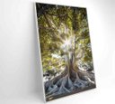 Ver imagem 2 de Quadro Árvore - 60x90 - Vidro Impresso