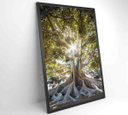Ver imagem 4 de Quadro Árvore - 60x90 - Vidro Impresso