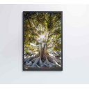 Ver imagem 3 de Quadro Árvore - 80x120 - Vidro Impresso