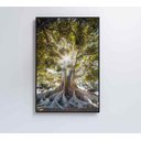 Ver imagem 7 de Quadro Árvore - 80x120 - Vidro Impresso