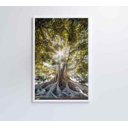 Ver imagem 5 de Quadro Árvore - 80x120 - Vidro Impresso