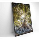 Ver mais imagens de Quadro Árvore - 80x120 - Vidro Impresso