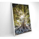 Ver imagem 6 de Quadro Árvore - 80x120 - Vidro Impresso