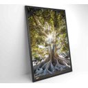 Ver imagem 4 de Quadro Árvore - 80x120 - Vidro Impresso