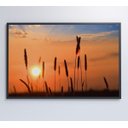 Ver imagem 7 de Quadro por do Sol - 60x40 - Tecido Canvas