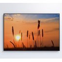 Ver mais imagens de Quadro por do Sol - 60x40 - Tecido Canvas