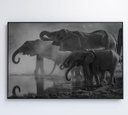 Ver mais imagens de Quadro Elefantes - 120x80 - Vidro Impresso