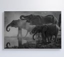 Ver imagem 4 de Quadro Elefantes - 120x80 - Vidro Impresso