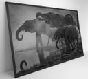 Ver imagem 5 de Quadro Elefantes - 120x80 - Vidro Impresso