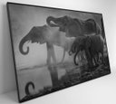 Ver imagem 6 de Quadro Elefantes - 120x80 - Vidro Impresso