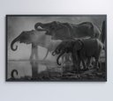 Ver imagem 7 de Quadro Elefantes - 120x80 - Vidro Impresso
