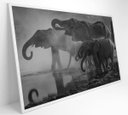 Ver imagem 2 de Quadro Elefantes - 120x80 - Vidro Impresso