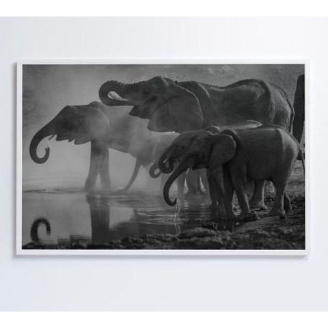 Quadro Elefantes - 120x80 - Vidro Impresso