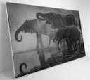 Ver imagem 3 de Quadro Elefantes - 120x80 - Vidro Impresso