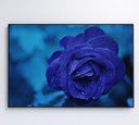 Ver mais imagens de Quadro Rosa Lilas - 120x80 - Vidro Impresso