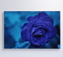 Ver imagem 4 de Quadro Rosa Lilas - 120x80 - Vidro Impresso
