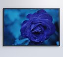 Ver imagem 7 de Quadro Rosa Lilas - 120x80 - Vidro Impresso