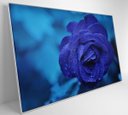 Ver imagem 3 de Quadro Rosa Lilas - 120x80 - Vidro Impresso
