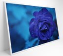 Ver imagem 2 de Quadro Rosa Lilas - 120x80 - Vidro Impresso