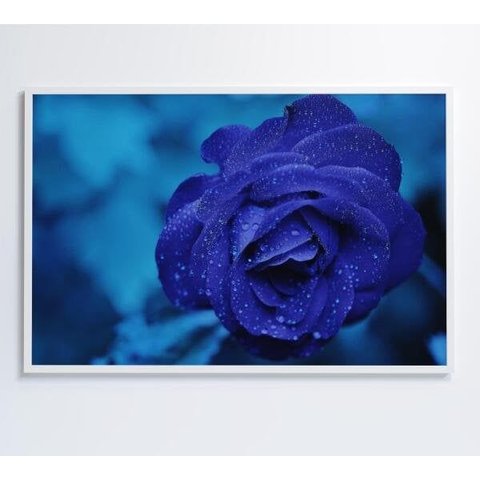 Quadro Rosa Lilas - 120x80 - Vidro Impresso