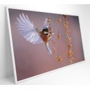 Ver imagem 2 de Quadro Beija Flor - 120x80 - Adesivo Fotográfico