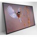 Ver imagem 5 de Quadro Beija Flor - 120x80 - Adesivo Fotográfico