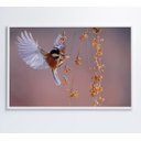 Ver imagem 1 de Quadro Beija Flor - 120x80 - Adesivo Fotográfico