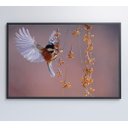 Ver imagem 7 de Quadro Beija Flor - 120x80 - Adesivo Fotográfico