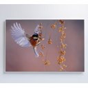 Ver imagem 4 de Quadro Beija Flor - 120x80 - Adesivo Fotográfico