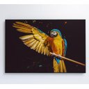 Ver mais imagens de Quadro Arara Azul - 90x60 - Tecido Canvas